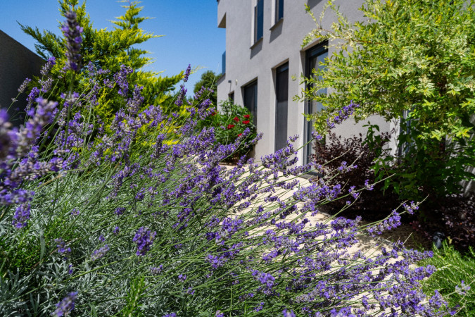 Villas Pe&scaron;a - luxury holiday homes with a pool in Zaton, Dalmatia - Croatia Zaton